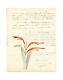 Camille Saint-saëns / Autographed Letter With Drawing And Poem / Ascanio