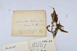 Maurice Druon signed autograph letter